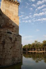 Pont del Mar in Valencia, Spain