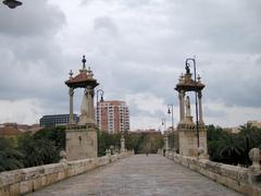 Pont de la Mar de València bridge in Valencia, Spain