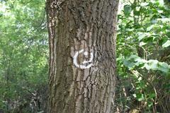 Naturschutzgebiet Schwanheimer Düne Hessen Green Belt sign