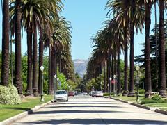 palm-lined street in an affluent neighborhood of Los Angeles