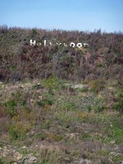 Hollywood 2008 on the landfill of Baresel quarry