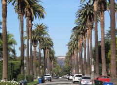 Hollywood sign from Windsor Blvd