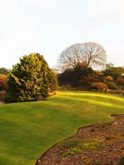 esoteric landscape resembling Alice in Wonderland at Royal Botanic Gardens