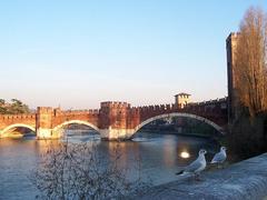 Verona Ponte Scaligero sunset view