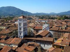 Chiesa di San Michele in Foro viewed from Torre dell'Orologio in Lucca