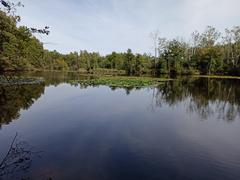 Rückhaltebecken des Raakmoorgrabens im Raakmoor