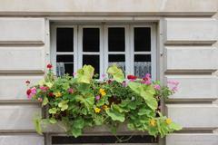 buildings at Place Dauphine in Paris