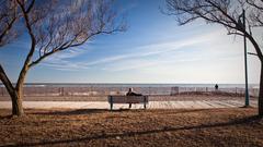 A woman sitting on a bench at Woodbine Beach on a sunny winter day