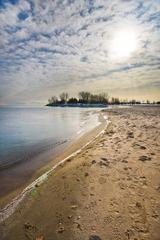 Footprints and dog paw prints on the empty shoreline at Woodbine Beach