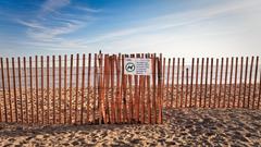 snow fence at Woodbine Beach in winter