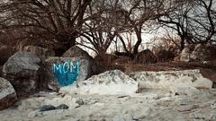 Happy Mother's Day message at Woodbine Beach, Toronto