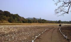 Raja Ji National Park landscape