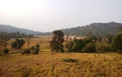 Raja Ji National Park landscape