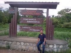 scenic view of dense forest and mountain range in Rajaji National Park