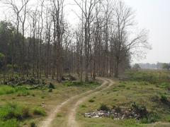 Safari in Rajaji National Park, Haridwar