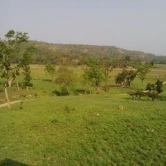 View from the watch tower in Rajaji National Park Tiger Reserve