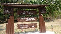 Scenic view of Rajaji National Park in Uttarakhand, India