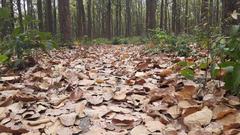 Entrance of Rajaji National Park