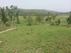 Chila range of Rajaji National Park