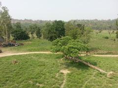 Chilla Range in Rajaji National Park