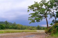 Riverbed and grassland in Rajaji National Park, India