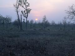 Sunset at Rajaji National Park