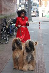 Fong Leng entering Amsterdam Museum preview