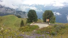 Schynige Platte Alpine Garden