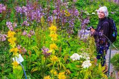 Schynige Platte Botanical Alpine Garden with Sanne enjoying the natural scenery