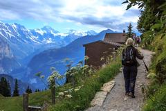 Schynige Platte Botanical Alpine Garden overlooking Lauterbrunnen Valley