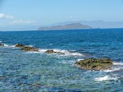 Chania harbor view