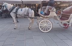 gray horse pulling a carriage in Chania