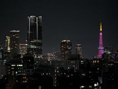 Pink Tokyo Tower for Valentine Day 2024