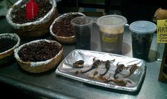 Ahuautle and other local delicacies in San Juan Market, Mexico City