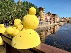 Façana del riu Girona with historic riverside buildings