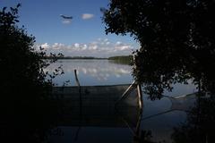 Plane flying over the Las Piñas Parañaque Critical Habitat and Ecotourism Area