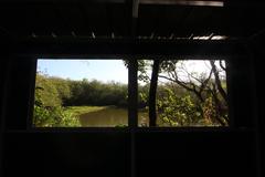 Birdwatching station window at Las Piñas-Parañaque Critical Habitat and Ecotourism Area