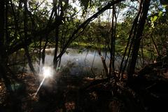 Sunrise reflects on a pond at LPPCHEA