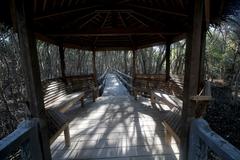 Cool benches at Freedom Island Boardwalk