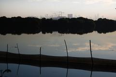 Tower cranes near Las Piñas-Parañaque Critical Habitat and Ecotourism Area