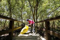 Mangroves at Las Piñas–Parañaque Critical Habitat and Ecotourism Area with nearby residents cleaning the area