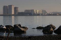 White egrets resting on rocks at the LPPCHEA