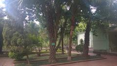 different types of trees in the Kinh Thien palace