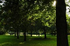 Beatrixpark with lush greenery and trees