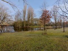 Beatrixpark with lush green trees and a serene lake under a blue sky