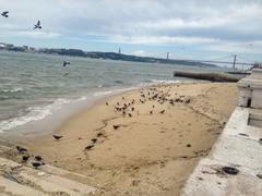 25 de Abril Bridge connecting Lisbon to Almada