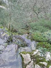 Stream feeding the waterfall of Fórnea