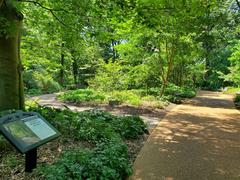 English Woodland Garden at the Missouri Botanical Garden