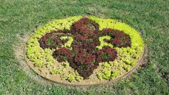 Fleur-de-lis made out of tiny succulents in the Pincushion Garden