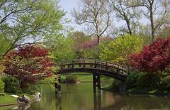 Botanical Garden in Saint Louis with lush greenery and walking paths